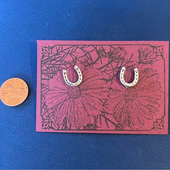 Western cowgirl rodeo horseshoe earrings - Picture 2 of 2